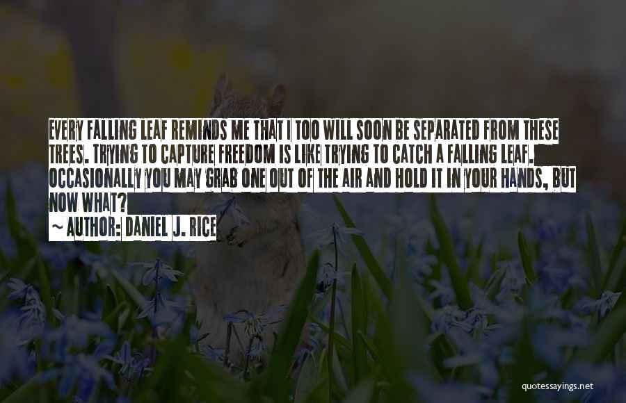 Daniel J. Rice Quotes: Every Falling Leaf Reminds Me That I Too Will Soon Be Separated From These Trees. Trying To Capture Freedom Is