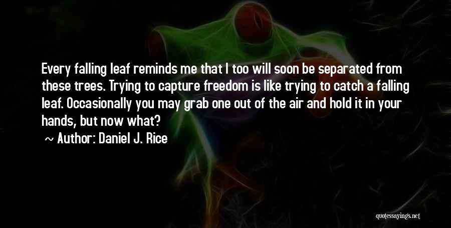 Daniel J. Rice Quotes: Every Falling Leaf Reminds Me That I Too Will Soon Be Separated From These Trees. Trying To Capture Freedom Is