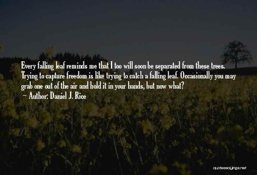 Daniel J. Rice Quotes: Every Falling Leaf Reminds Me That I Too Will Soon Be Separated From These Trees. Trying To Capture Freedom Is