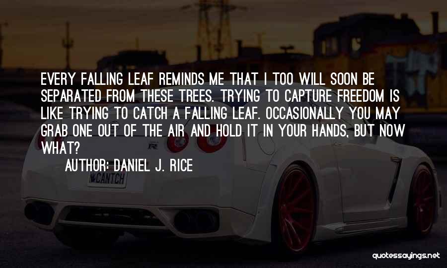 Daniel J. Rice Quotes: Every Falling Leaf Reminds Me That I Too Will Soon Be Separated From These Trees. Trying To Capture Freedom Is