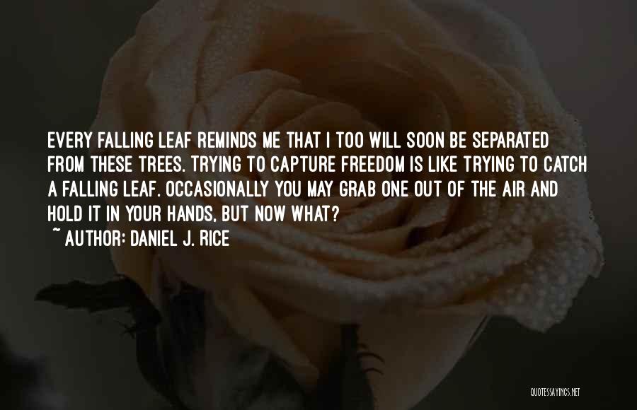 Daniel J. Rice Quotes: Every Falling Leaf Reminds Me That I Too Will Soon Be Separated From These Trees. Trying To Capture Freedom Is