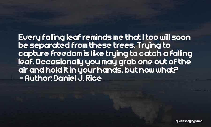 Daniel J. Rice Quotes: Every Falling Leaf Reminds Me That I Too Will Soon Be Separated From These Trees. Trying To Capture Freedom Is