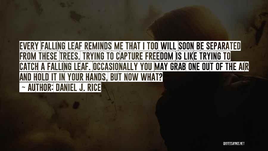 Daniel J. Rice Quotes: Every Falling Leaf Reminds Me That I Too Will Soon Be Separated From These Trees. Trying To Capture Freedom Is