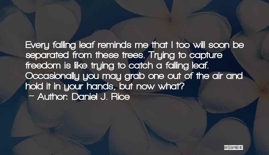 Daniel J. Rice Quotes: Every Falling Leaf Reminds Me That I Too Will Soon Be Separated From These Trees. Trying To Capture Freedom Is