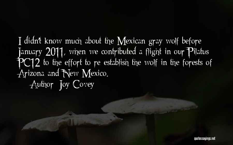 Joy Covey Quotes: I Didn't Know Much About The Mexican Gray Wolf Before January 2011, When We Contributed A Flight In Our Pilatus