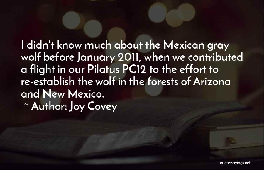 Joy Covey Quotes: I Didn't Know Much About The Mexican Gray Wolf Before January 2011, When We Contributed A Flight In Our Pilatus