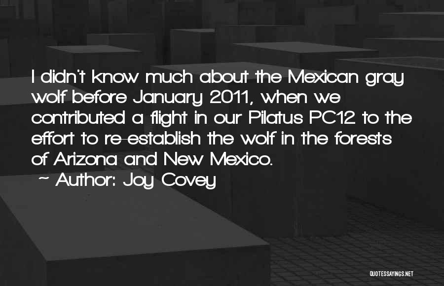 Joy Covey Quotes: I Didn't Know Much About The Mexican Gray Wolf Before January 2011, When We Contributed A Flight In Our Pilatus