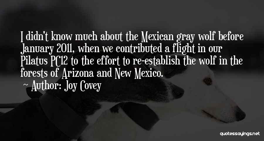 Joy Covey Quotes: I Didn't Know Much About The Mexican Gray Wolf Before January 2011, When We Contributed A Flight In Our Pilatus