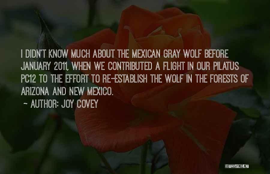 Joy Covey Quotes: I Didn't Know Much About The Mexican Gray Wolf Before January 2011, When We Contributed A Flight In Our Pilatus