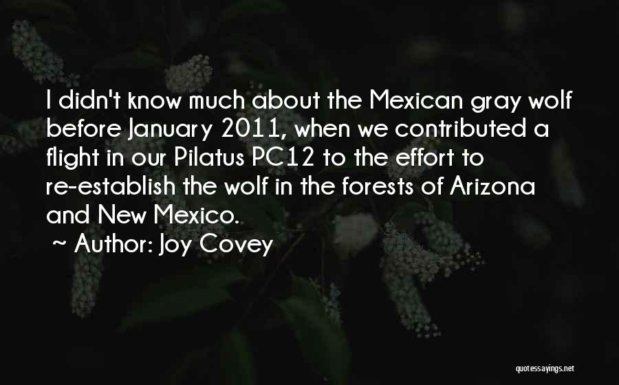 Joy Covey Quotes: I Didn't Know Much About The Mexican Gray Wolf Before January 2011, When We Contributed A Flight In Our Pilatus