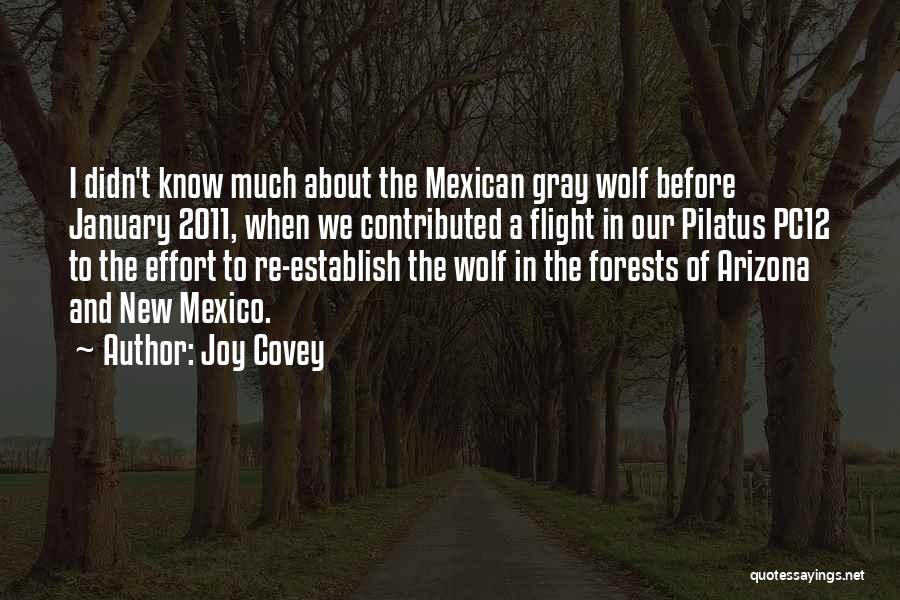 Joy Covey Quotes: I Didn't Know Much About The Mexican Gray Wolf Before January 2011, When We Contributed A Flight In Our Pilatus