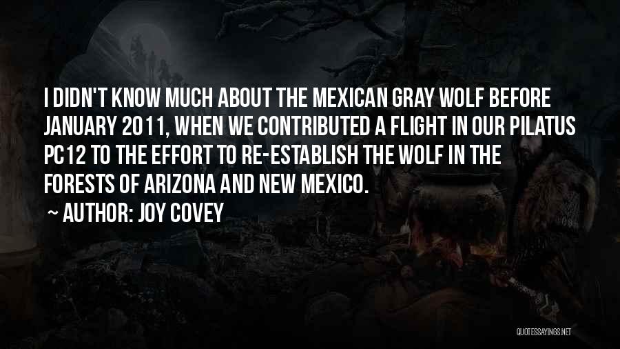 Joy Covey Quotes: I Didn't Know Much About The Mexican Gray Wolf Before January 2011, When We Contributed A Flight In Our Pilatus