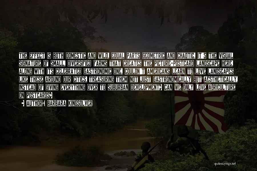 Barbara Kingsolver Quotes: The Effect Is Both Domestic And Wild, Equal Parts Geometric And Chaotic. It's The Visual Signature Of Small, Diversified Farms