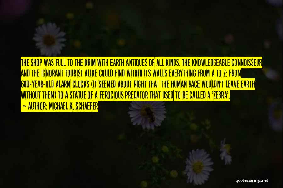 Michael K. Schaefer Quotes: The Shop Was Full To The Brim With Earth Antiques Of All Kinds. The Knowledgeable Connoisseur And The Ignorant Tourist