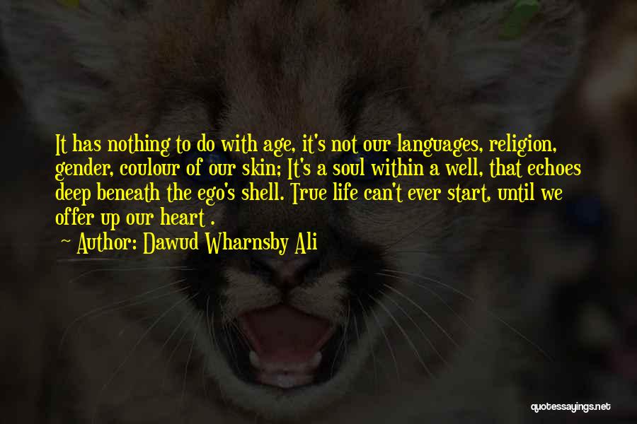 Dawud Wharnsby Ali Quotes: It Has Nothing To Do With Age, It's Not Our Languages, Religion, Gender, Coulour Of Our Skin; It's A Soul