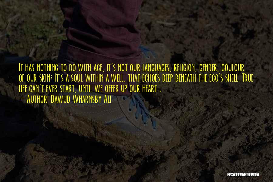 Dawud Wharnsby Ali Quotes: It Has Nothing To Do With Age, It's Not Our Languages, Religion, Gender, Coulour Of Our Skin; It's A Soul