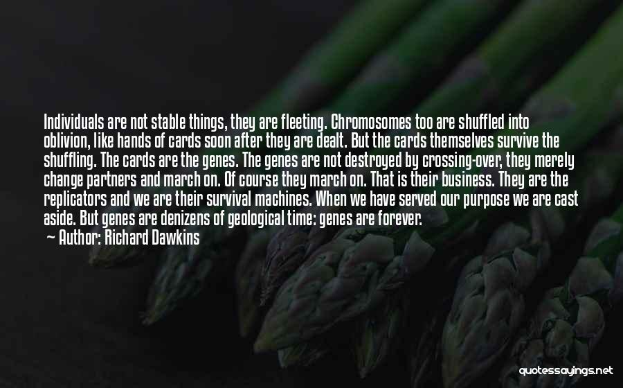 Richard Dawkins Quotes: Individuals Are Not Stable Things, They Are Fleeting. Chromosomes Too Are Shuffled Into Oblivion, Like Hands Of Cards Soon After