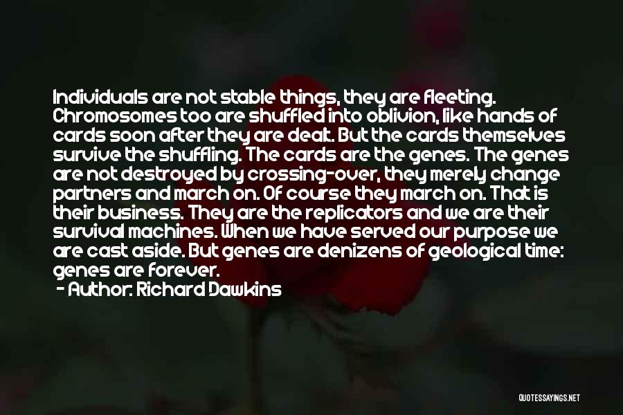 Richard Dawkins Quotes: Individuals Are Not Stable Things, They Are Fleeting. Chromosomes Too Are Shuffled Into Oblivion, Like Hands Of Cards Soon After