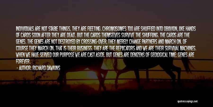 Richard Dawkins Quotes: Individuals Are Not Stable Things, They Are Fleeting. Chromosomes Too Are Shuffled Into Oblivion, Like Hands Of Cards Soon After