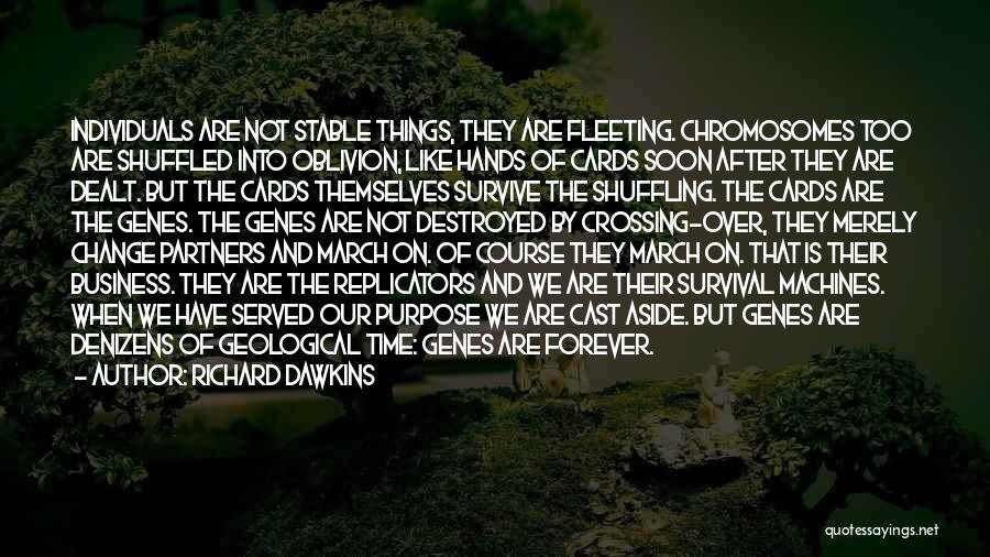 Richard Dawkins Quotes: Individuals Are Not Stable Things, They Are Fleeting. Chromosomes Too Are Shuffled Into Oblivion, Like Hands Of Cards Soon After