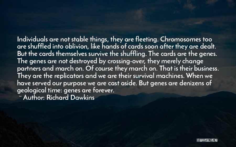 Richard Dawkins Quotes: Individuals Are Not Stable Things, They Are Fleeting. Chromosomes Too Are Shuffled Into Oblivion, Like Hands Of Cards Soon After