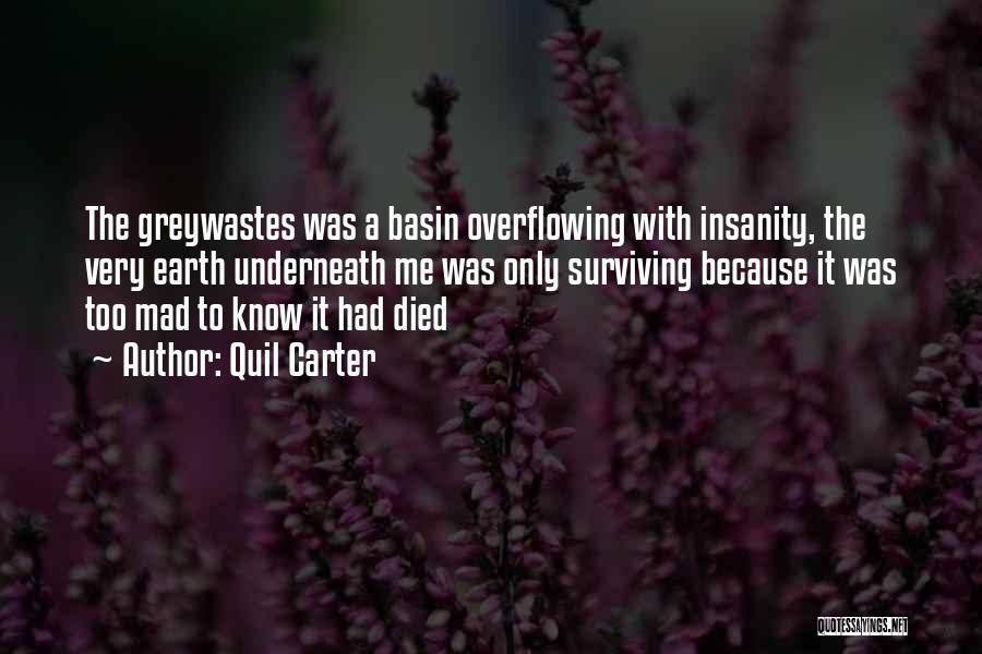 Quil Carter Quotes: The Greywastes Was A Basin Overflowing With Insanity, The Very Earth Underneath Me Was Only Surviving Because It Was Too