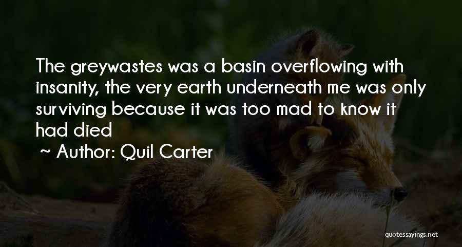 Quil Carter Quotes: The Greywastes Was A Basin Overflowing With Insanity, The Very Earth Underneath Me Was Only Surviving Because It Was Too