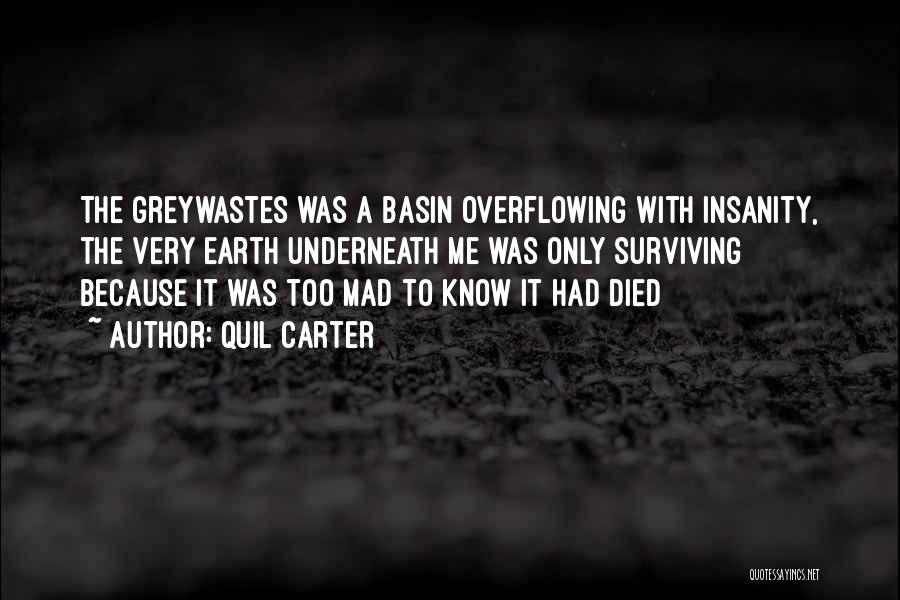 Quil Carter Quotes: The Greywastes Was A Basin Overflowing With Insanity, The Very Earth Underneath Me Was Only Surviving Because It Was Too