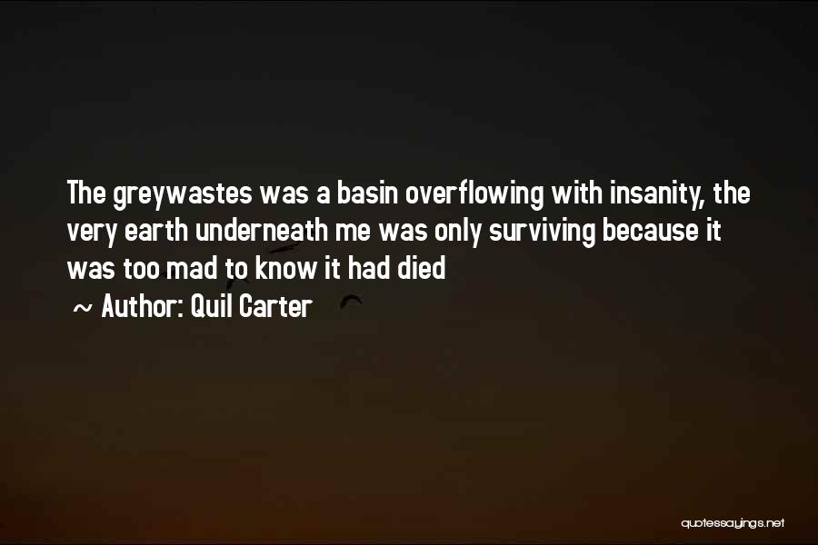 Quil Carter Quotes: The Greywastes Was A Basin Overflowing With Insanity, The Very Earth Underneath Me Was Only Surviving Because It Was Too