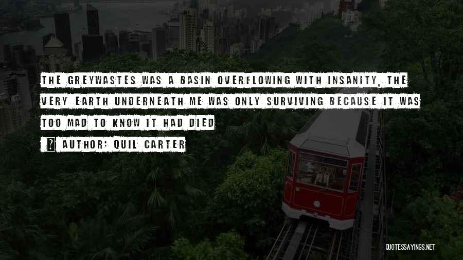 Quil Carter Quotes: The Greywastes Was A Basin Overflowing With Insanity, The Very Earth Underneath Me Was Only Surviving Because It Was Too