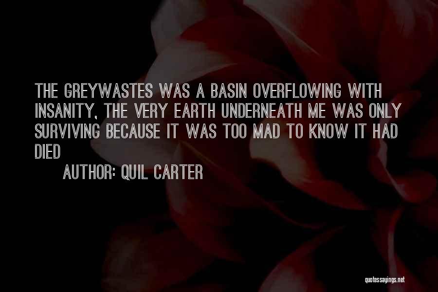 Quil Carter Quotes: The Greywastes Was A Basin Overflowing With Insanity, The Very Earth Underneath Me Was Only Surviving Because It Was Too