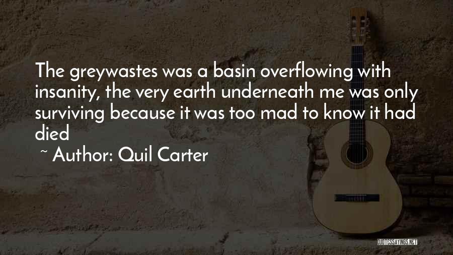 Quil Carter Quotes: The Greywastes Was A Basin Overflowing With Insanity, The Very Earth Underneath Me Was Only Surviving Because It Was Too