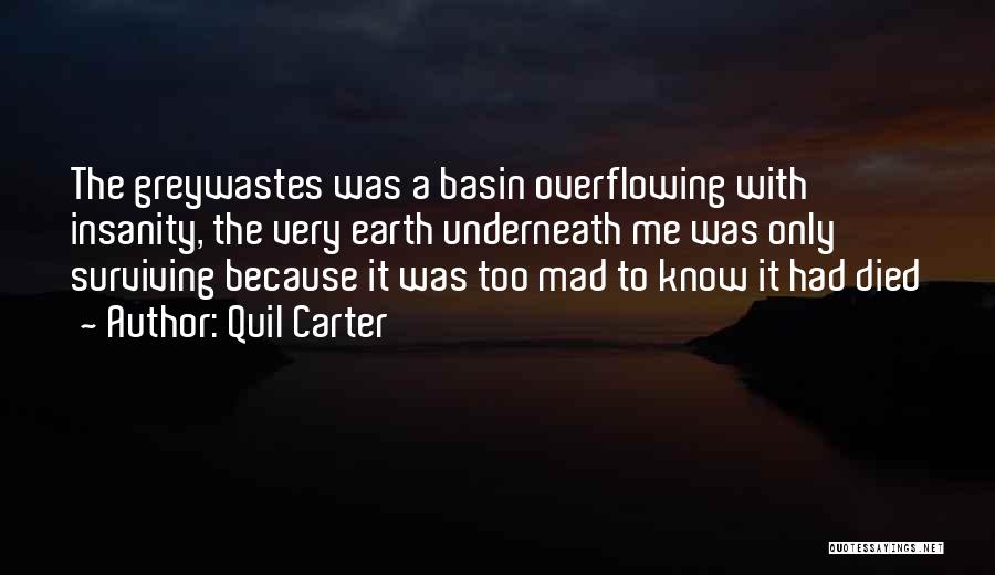 Quil Carter Quotes: The Greywastes Was A Basin Overflowing With Insanity, The Very Earth Underneath Me Was Only Surviving Because It Was Too