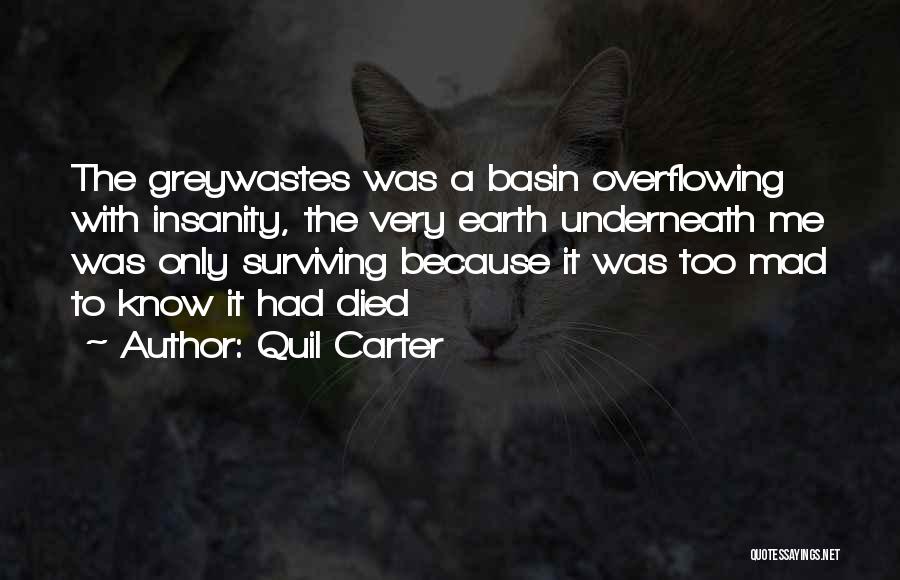 Quil Carter Quotes: The Greywastes Was A Basin Overflowing With Insanity, The Very Earth Underneath Me Was Only Surviving Because It Was Too