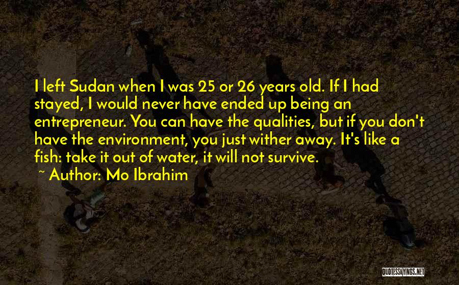 26 Years Old Quotes By Mo Ibrahim