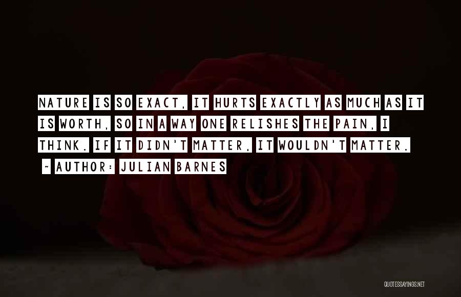 Julian Barnes Quotes: Nature Is So Exact, It Hurts Exactly As Much As It Is Worth, So In A Way One Relishes The