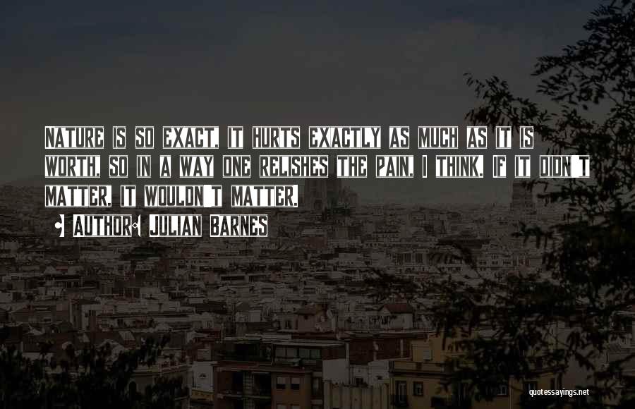 Julian Barnes Quotes: Nature Is So Exact, It Hurts Exactly As Much As It Is Worth, So In A Way One Relishes The