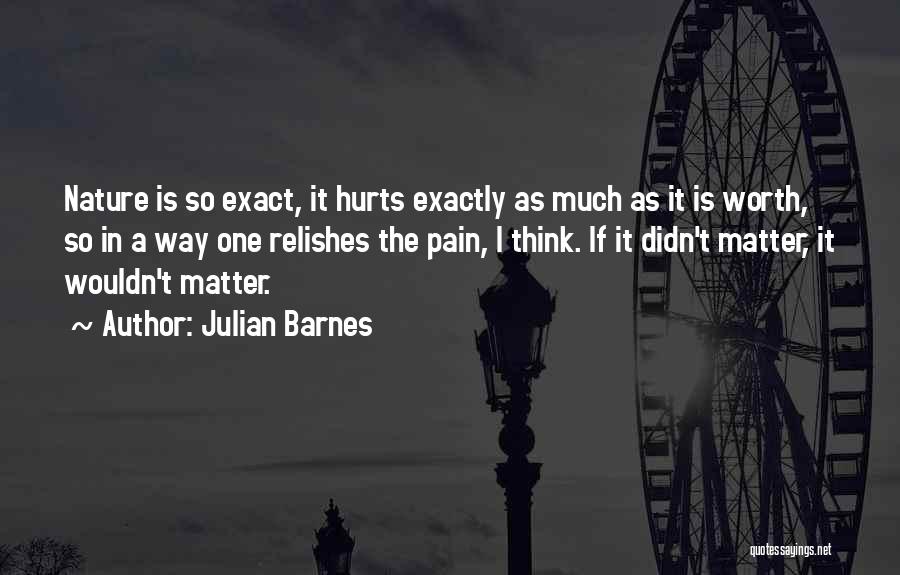Julian Barnes Quotes: Nature Is So Exact, It Hurts Exactly As Much As It Is Worth, So In A Way One Relishes The