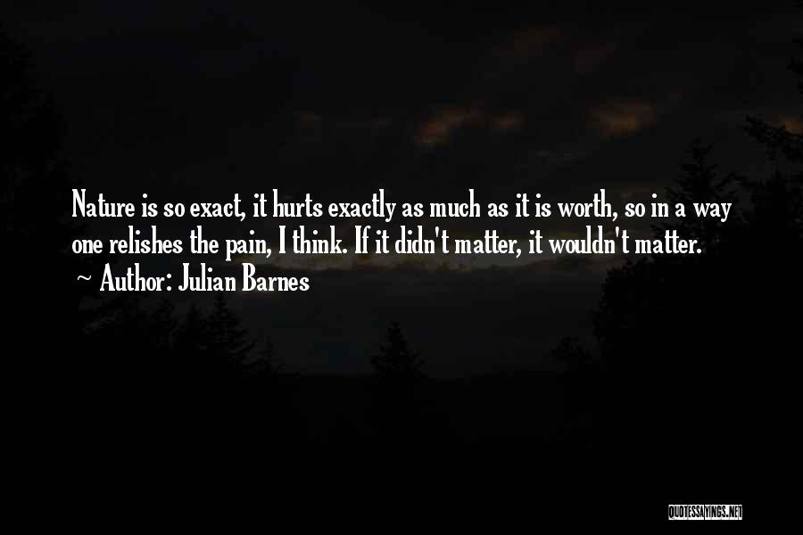 Julian Barnes Quotes: Nature Is So Exact, It Hurts Exactly As Much As It Is Worth, So In A Way One Relishes The