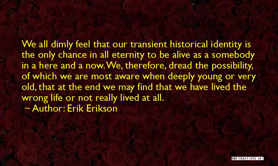 Erik Erikson Quotes: We All Dimly Feel That Our Transient Historical Identity Is The Only Chance In All Eternity To Be Alive As