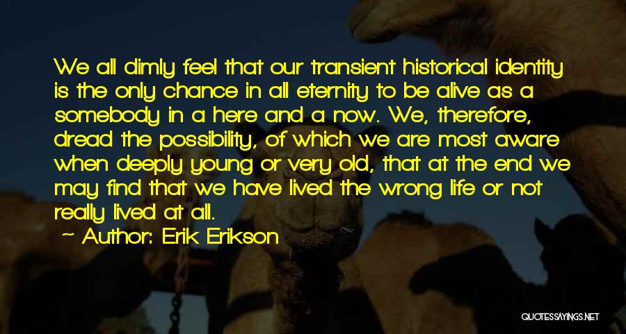 Erik Erikson Quotes: We All Dimly Feel That Our Transient Historical Identity Is The Only Chance In All Eternity To Be Alive As