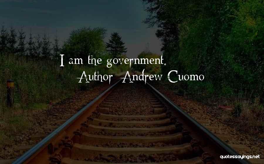 Andrew Cuomo Quotes: I Am The Government.