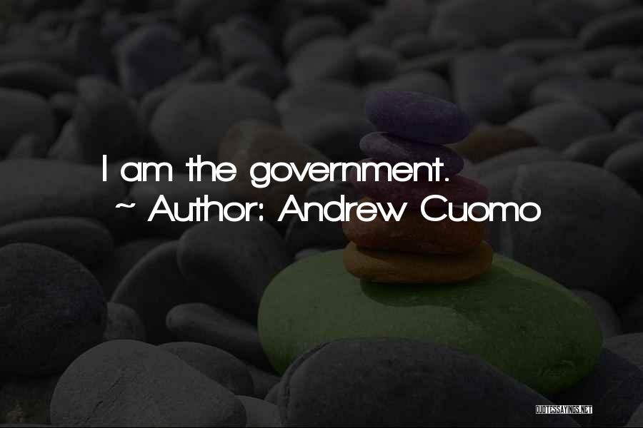 Andrew Cuomo Quotes: I Am The Government.