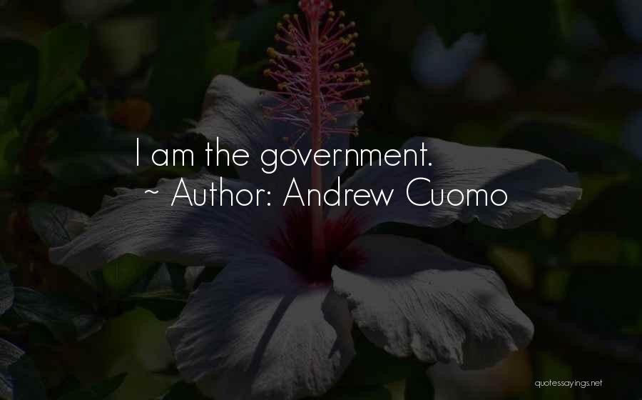 Andrew Cuomo Quotes: I Am The Government.