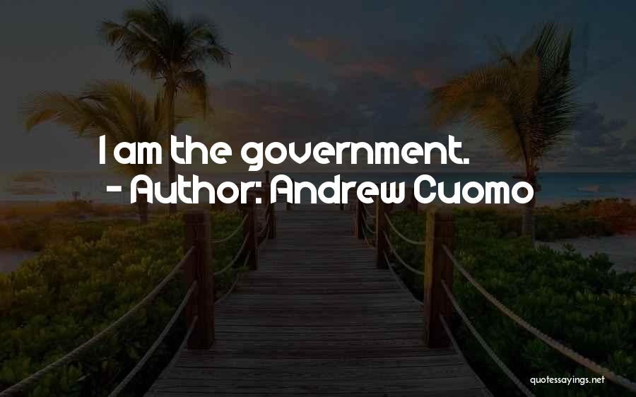 Andrew Cuomo Quotes: I Am The Government.