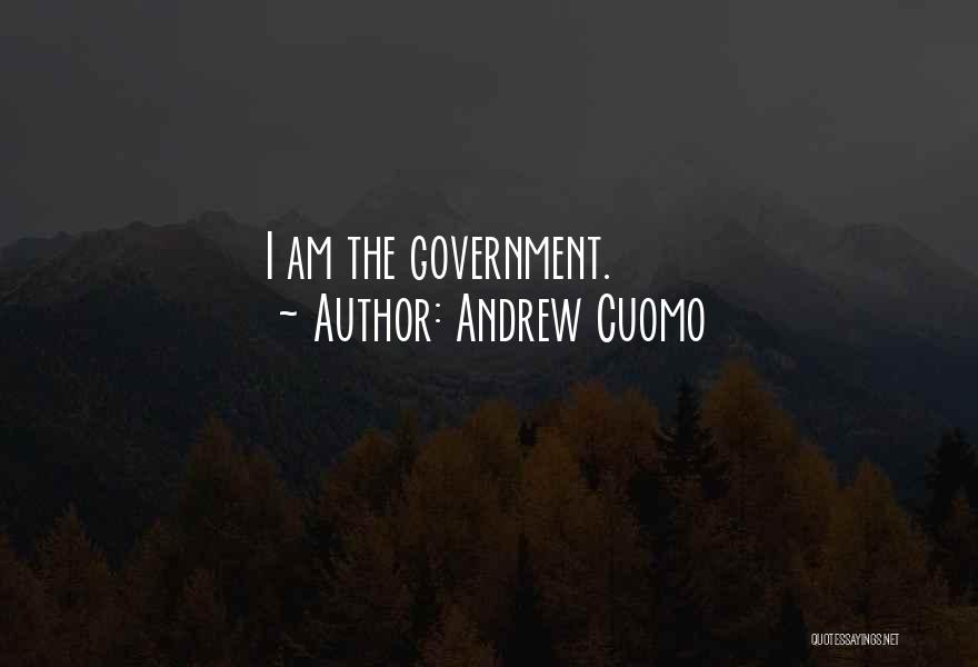 Andrew Cuomo Quotes: I Am The Government.