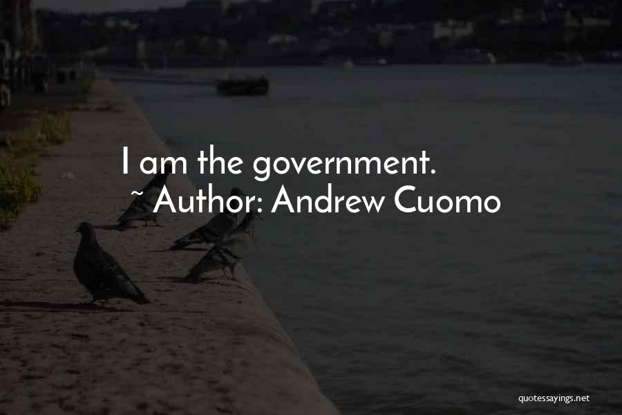 Andrew Cuomo Quotes: I Am The Government.