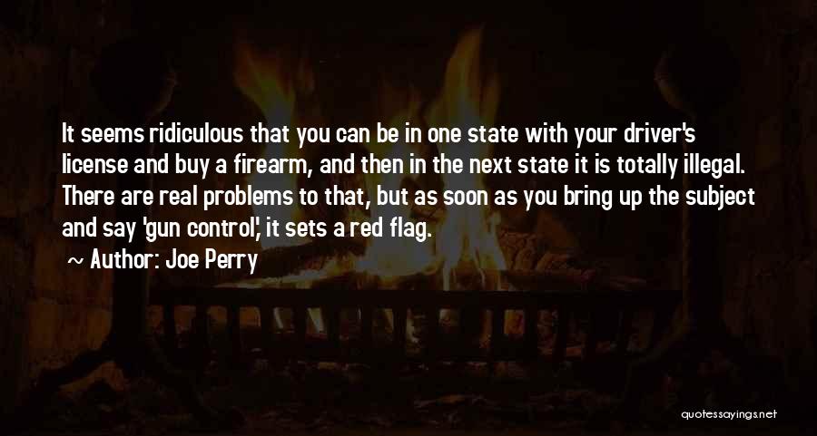 Joe Perry Quotes: It Seems Ridiculous That You Can Be In One State With Your Driver's License And Buy A Firearm, And Then