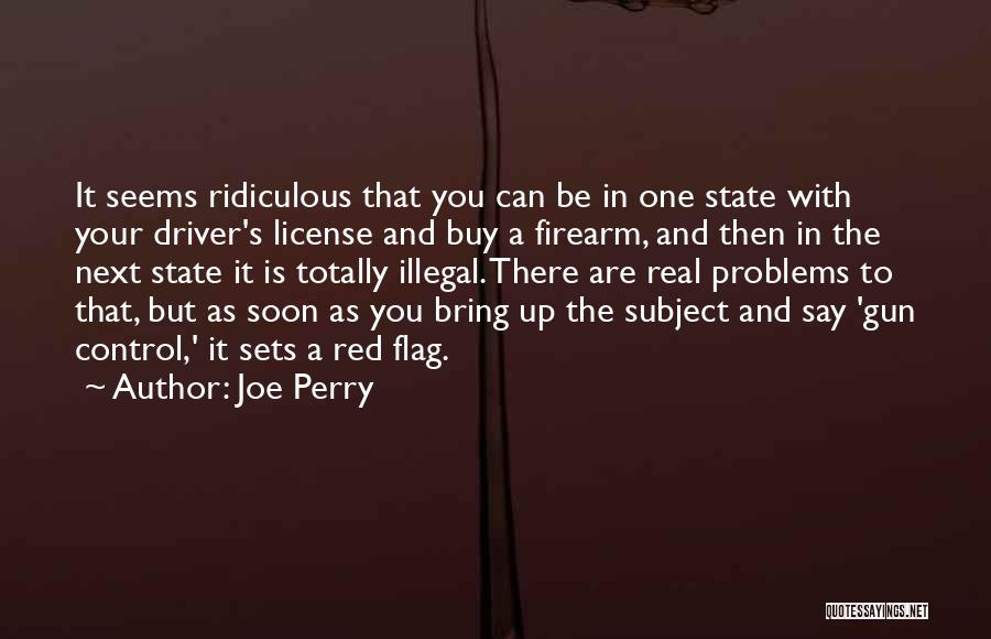 Joe Perry Quotes: It Seems Ridiculous That You Can Be In One State With Your Driver's License And Buy A Firearm, And Then