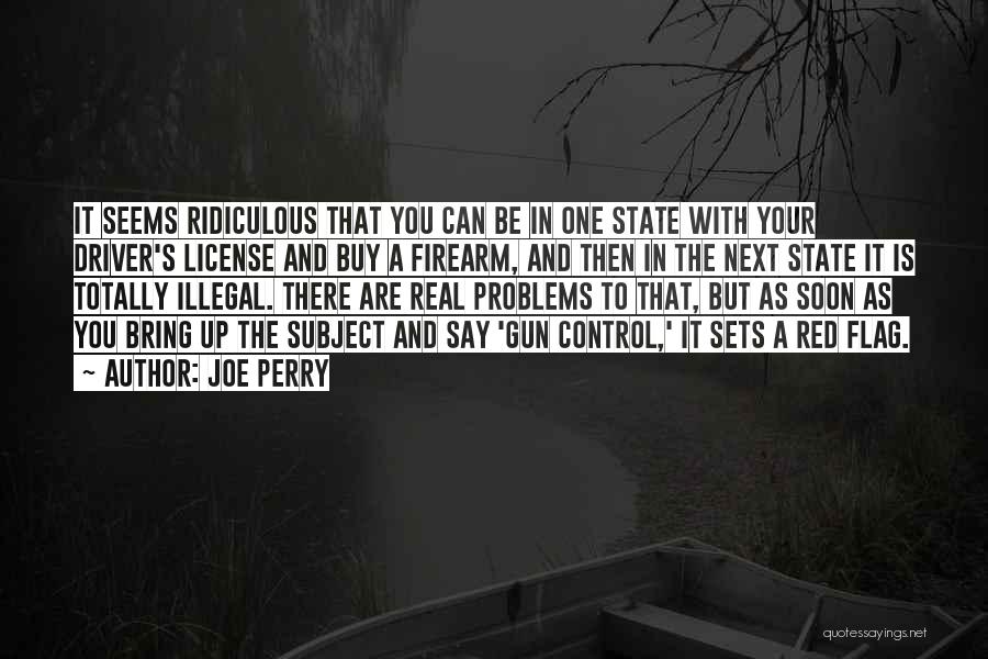 Joe Perry Quotes: It Seems Ridiculous That You Can Be In One State With Your Driver's License And Buy A Firearm, And Then